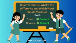 choir-vs-chorus
