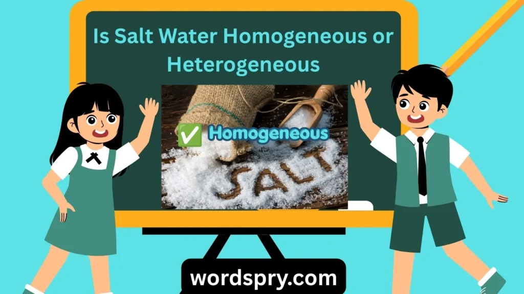 is-salt-water-homogeneous-or-heterogeneous