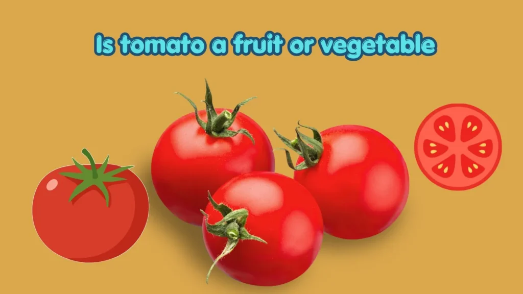 is-a-tomato-a-fruit-or-a-vegetable