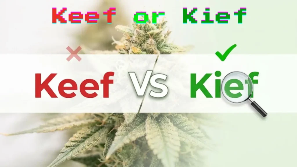 keef or kief